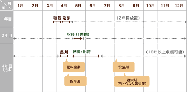 アスパラガス 栽培スケジュール 