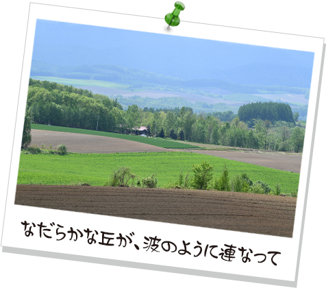 なだらかな丘が、波のように連なって