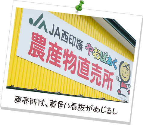 直売所は、黄色い看板がめじるし