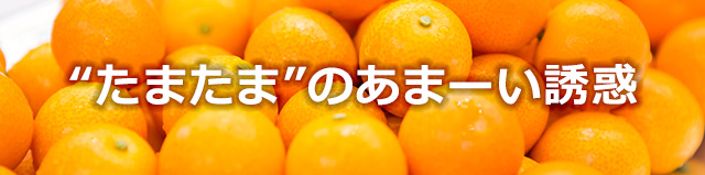 “たまたま”のあまーい誘惑