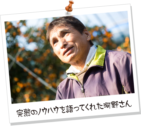 完熟のノウハウを語ってくれた河野さん