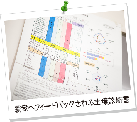 農家へフィードバックされる土壌診断書