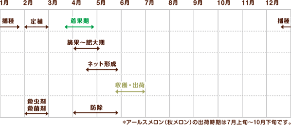 春メロン 栽培スケジュール（クインシーメロンの場合）