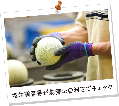 選任検査員が熟練の目利きでチェック