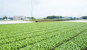 川越市