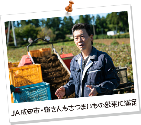 JA成田市・窺さんもさつまいもの出来に満足