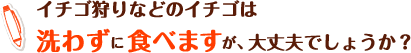 イチゴ狩りなどのイチゴは洗わずに食べますが、大丈夫でしょうか？