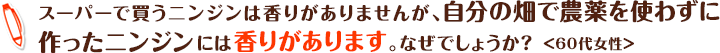 スーパーで買うニンジンは香りがありませんが、自分の畑で農薬を使わずに作ったニンジンには香りがあります。なぜでしょうか？ ＜60代女性＞